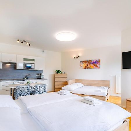 Horsky Apartman Temari 12 Klinovec Лоучна-под-Кліновцем Екстер'єр фото