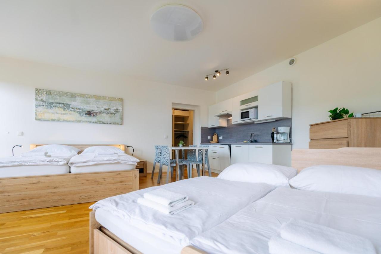 Horsky Apartman Temari 12 Klinovec Лоучна-под-Кліновцем Екстер'єр фото